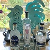 19: Episode 19: 4 Gins. 2 from Washington State, 1 from Holland, and 1 from France