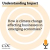 Understanding Impact: How is climate change affecting businesses in emerging economies?