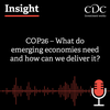 Insight Podcast: COP26 – What do emerging economies need and how can we deliver it?