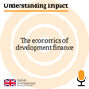 Understanding Impact: The economics of development finance