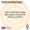 Understanding Impact: How is climate change affecting businesses in Africa and Asia? 