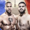 UFC on ESPN+ 67 Preview