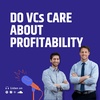 Do VCs Care About Profitability?