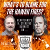 Humans to Blame for Hawaii Fires, but Not How You Think