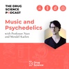 51. Music and Psychedelics with Mendel Kaelen