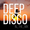  Truly House I Deep Disco Music #34 I Best Of Deep House Vocals