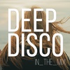 Heartbeats I Deep Disco Music Artists I Pete Bellis & Tommy - Forever I The Album Mix