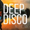 Deep Disco Music Artists I Nando Fortunato Tribute Mix