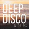 Relax House I Deep Disco Music #21 I Best Of Deep House Vocals