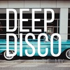Deep Disco Records Mix #67 I Best Of Deep House Vocals