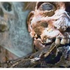 Ep. 18: Fortune and Gory