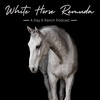 WHR - How do you define success? 
