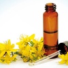 The Essence of Healing: Discovering Bach Flower Remedies