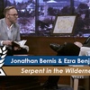 The Serpent in the Wilderness Unveiled