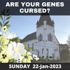 Are Your Genes Cursed? Breaking Generational Curses Pt.2 of 2 Jan22.23