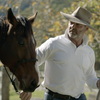 How to heal humans and horses