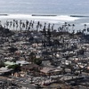 Maui's Devastating Wildfires