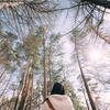 A guide to forest bathing