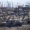The Dangers of Grass Fires