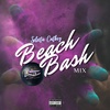 Secta Beach Bash Mix by @SelectaCatboy X @LaSectaCrew 2021