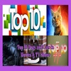 Top 10 Dogs and Cats In Movies & TV