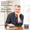 Pommel Horses, Baptism, and Transformation with Alexander John Shaia