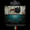 EPISODE 12 WAKANDA FOREVER SPOILER DISCUSSION
