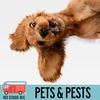 81: Pets & Pests