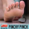 73: Pinchy Pinch
