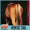 97: Horse Tail