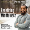 Special Episode: Redefining Mindfulness for Professionals