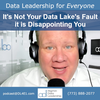 It's Not Your Data Lake's Fault it is Disappointing You