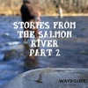 Beaver Moon Steelhead | Stories From The Salmon River Part 2
