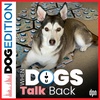 When Dogs Talk Back | Dog Edition #48