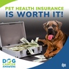Pet Health Insurance Is Worth It! | Dr. Amanda Hensley #231