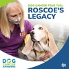 Dog Cancer True Tail: Roscoe's Legacy | Renée Michael #205