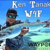 Ken Tanaka | Wish 4 Fish