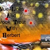 Blue Lines &amp; Brook Trout With Herbert