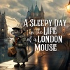 A Sleepy Day in the Life of a London Mouse