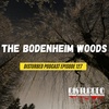 The Bodenheim Woods