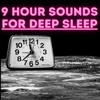 Beach Ambience - 9 Hours for Sleep, Meditation, & Relaxation