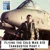 Flying the Cold War A10 Tankbuster Part 1 (305)