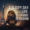 A Sleepy Day in the Life of a Paris Sparrow