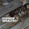 Forgotten Assets?