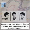 Gunfire in the Woods: A foiled escape and imprisonment in Cold War East Germany  (308)