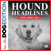 Hound Headlines 4/18/23 | Dog Edition #92