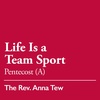 Day of Pentecost (A): Life is a Team Sport - May 28, 2023