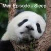 Mini Episode - Sleep