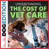 Understanding the Cost of Vet Care | Dog Edition #74