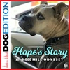 Hope’s Story: An 8,000-Mile Odyssey | Dog Edition #69
